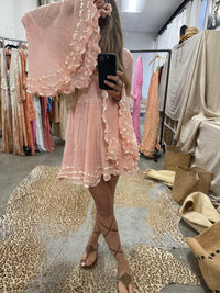 Silver Springs Mini Dress