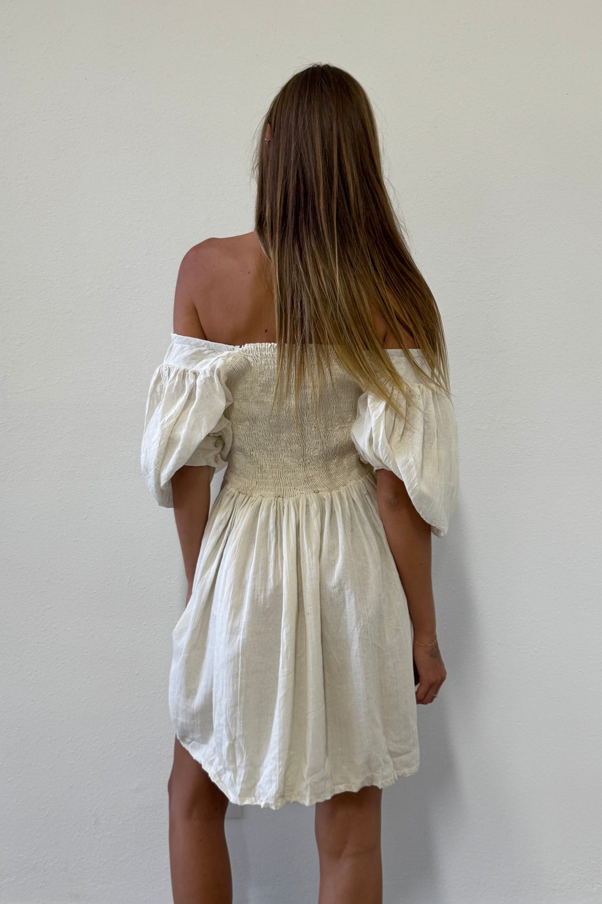 Brenner Mini Dress
