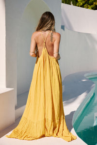 Krishna Maxi Dress